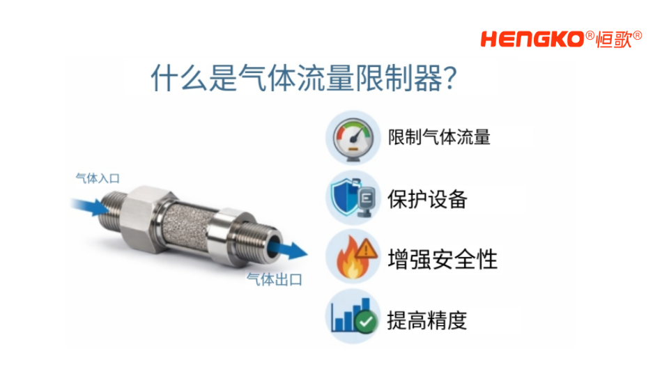 氣體流量限流器1.png